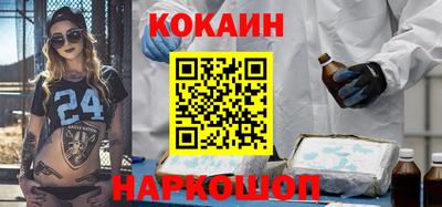 индика Камышлов