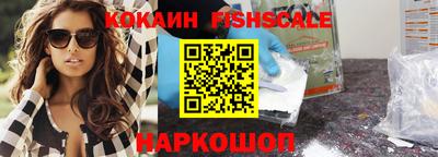 индика Камышлов