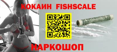индика Камышлов