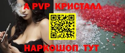 индика Камышлов
