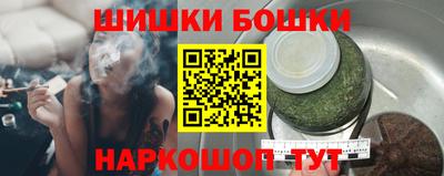 индика Камышлов