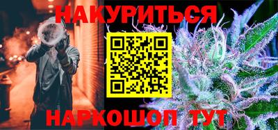 индика Камышлов