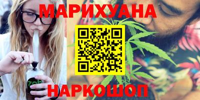 индика Камышлов