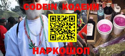 индика Камышлов