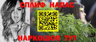индика Камышлов