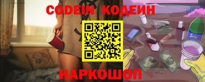 индика Камышлов