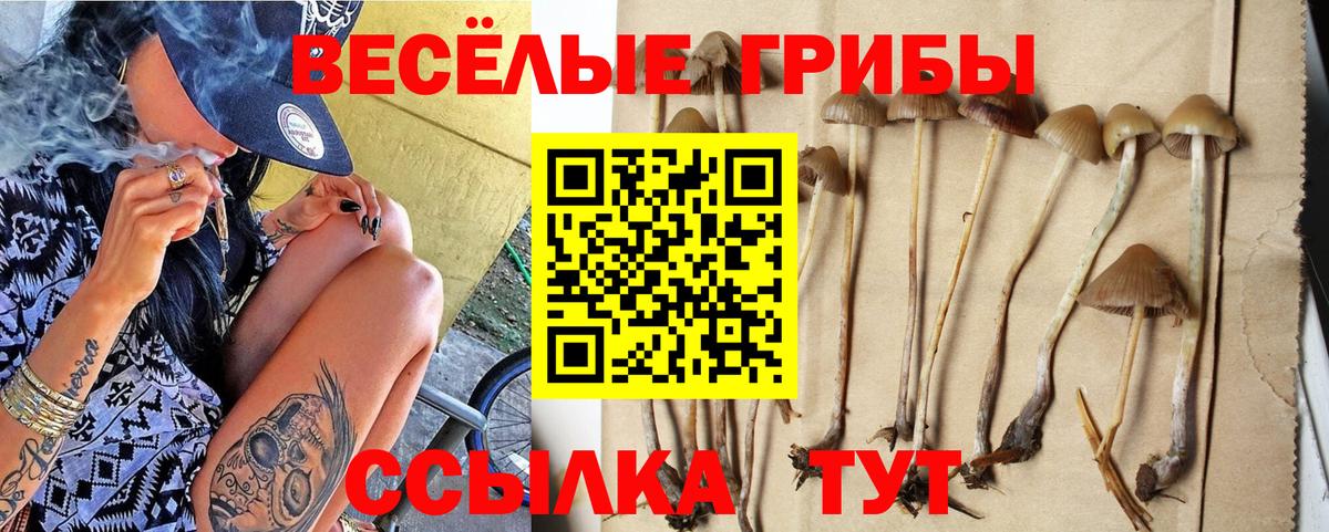 Красногорск  Галлюциногенные грибы мухоморы  Вход с VPN 