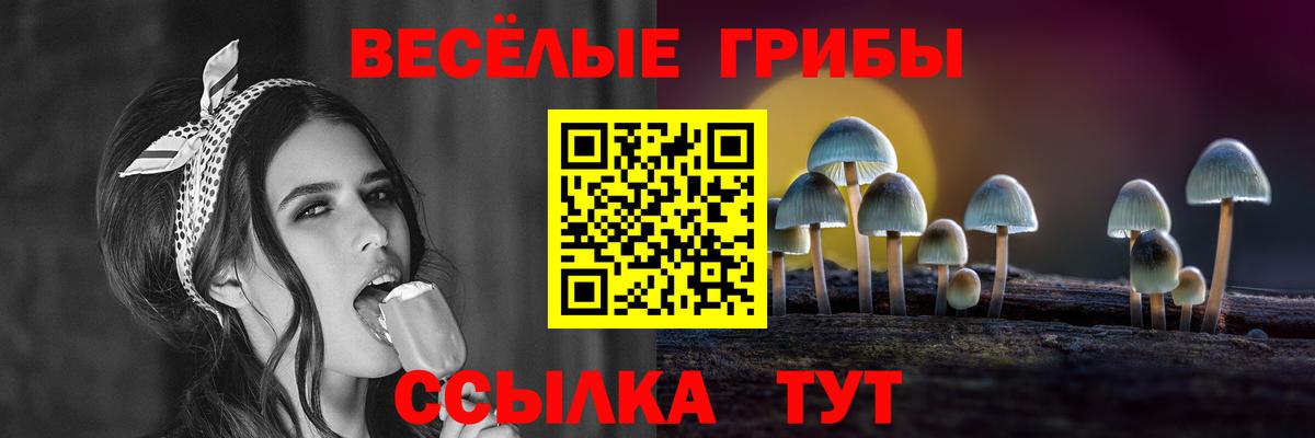 Галлюциногенные грибы Magic Shrooms Красногорск